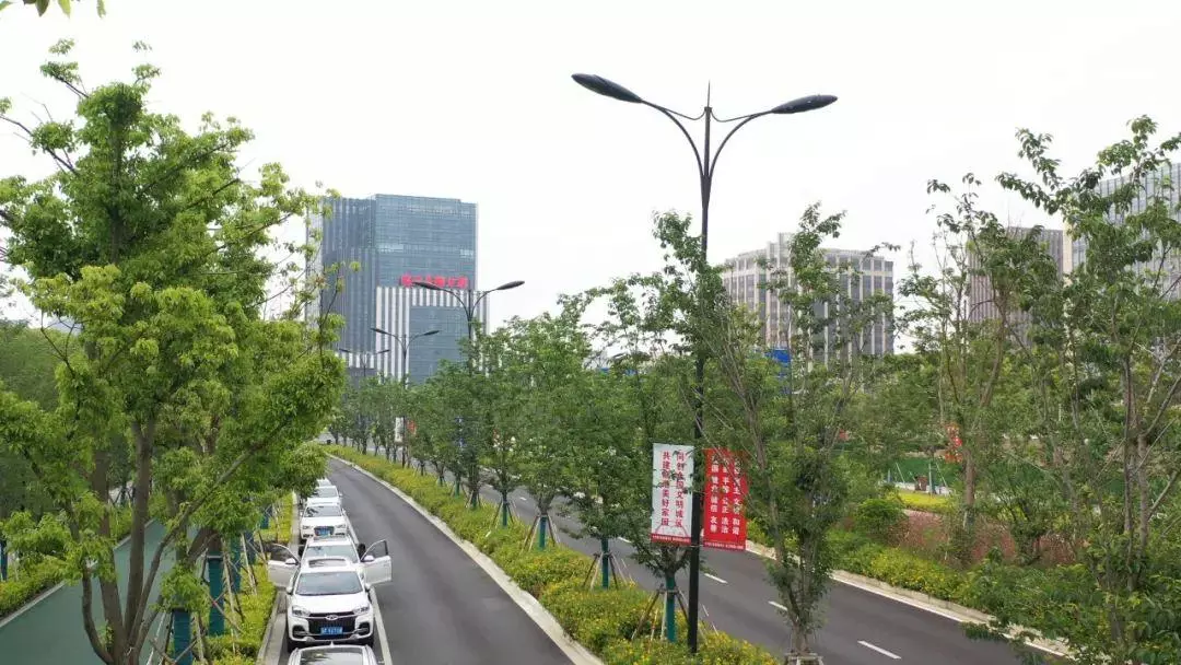 宽带山论坛还能上吗(6)
