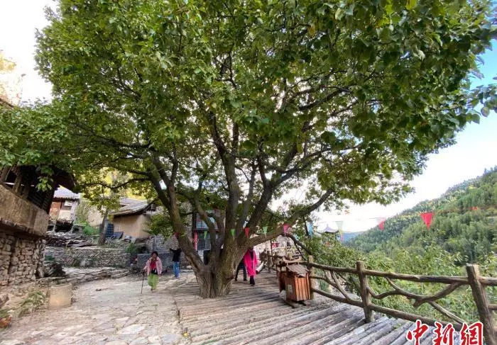 悬空村在山西什么地方(1)