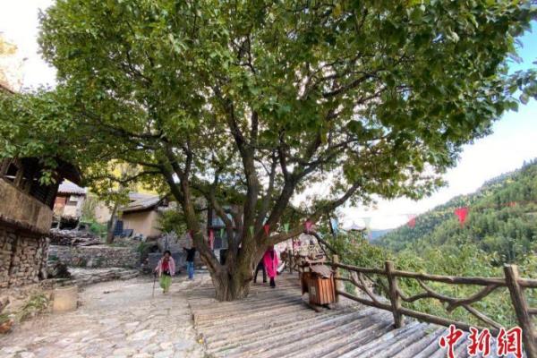 悬空村在山西什么地方.