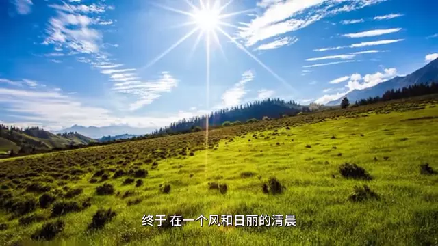 我要看小熊波比的所有集(3)