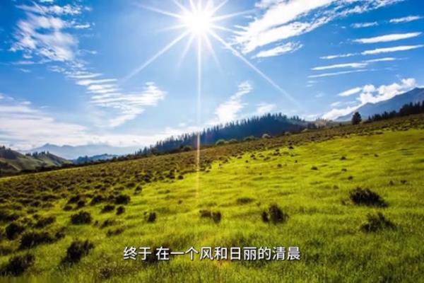 我要看小熊波比的所有集.