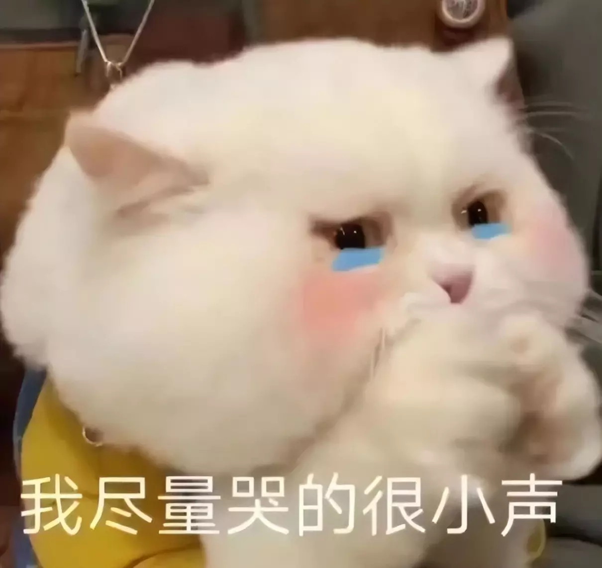 深圳春茧体育馆地铁哪个出口(1)