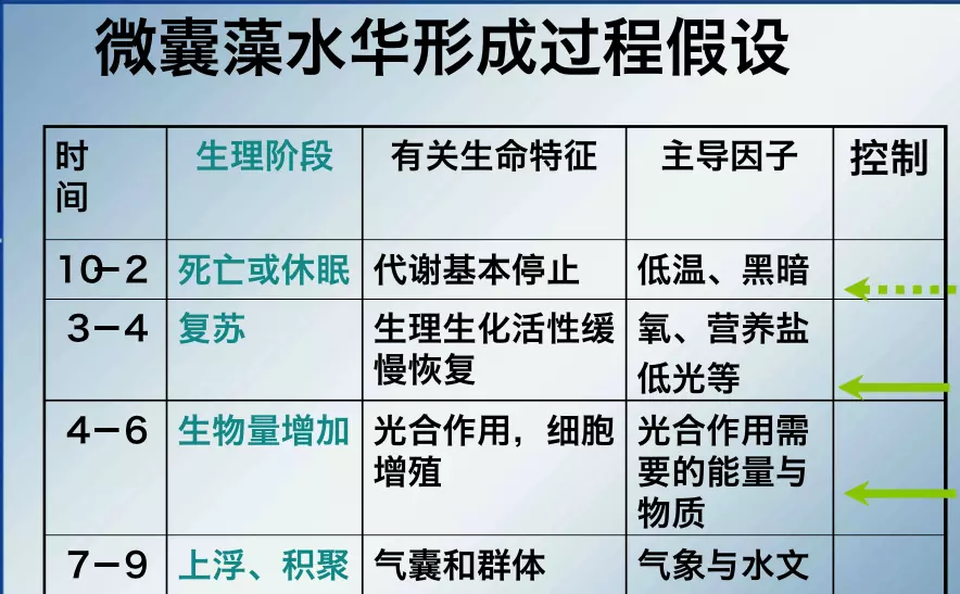 蓝藻绿藻和浮萍的区别(2)
