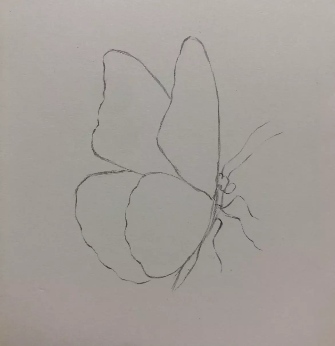 水晶蝴蝶仙女怎么画呢(2)