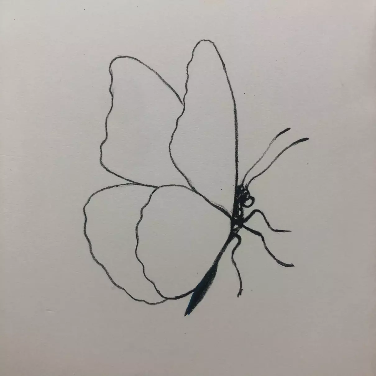水晶蝴蝶仙女怎么画呢(3)