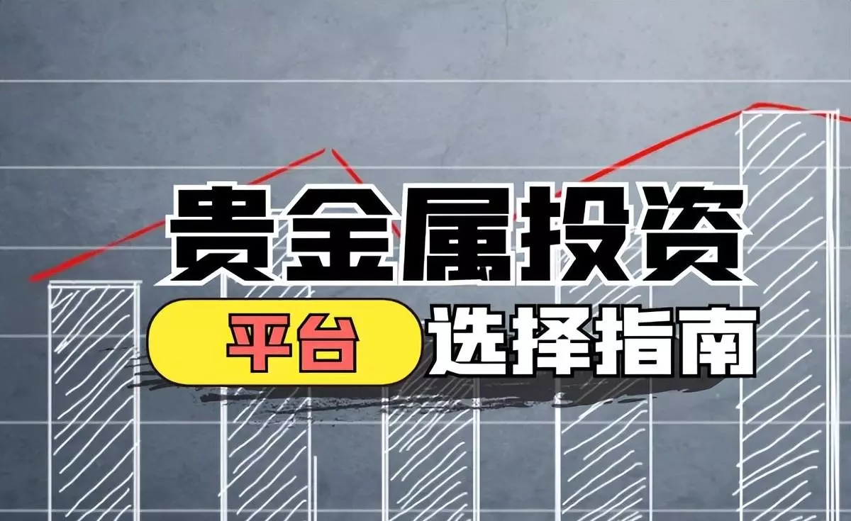 贵金属投资正规平台有哪些(2)
