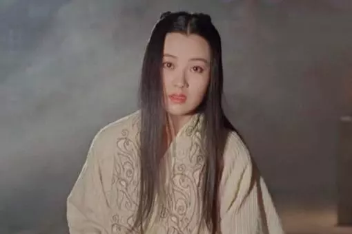 王贲杀栎阳公主是真的吗(2)