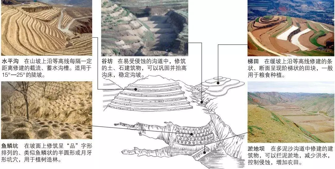黄土高原水土流失的原因危害及治理措施(10)