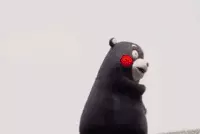 江西大宇学院现在改成什么名字了(1)