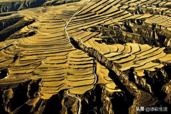 黄土高原水土流失的原因危害及治理措施.