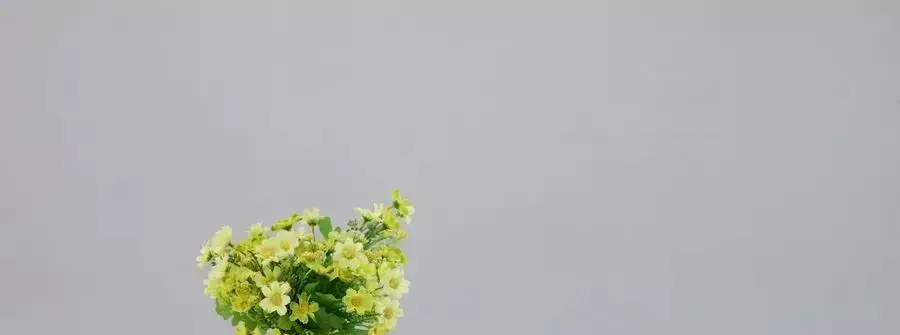 发现生活的美好作文600字以上(1)