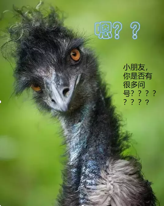 鸸鹋和鸵鸟的区别有哪些(8)