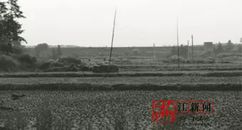 浙江师范大学地址在金华哪个区(13)