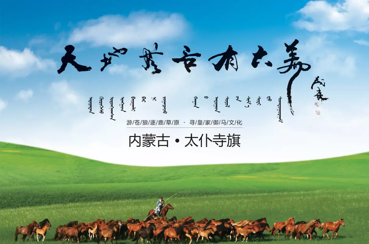 内蒙奶茶哪个牌子正宗(3)