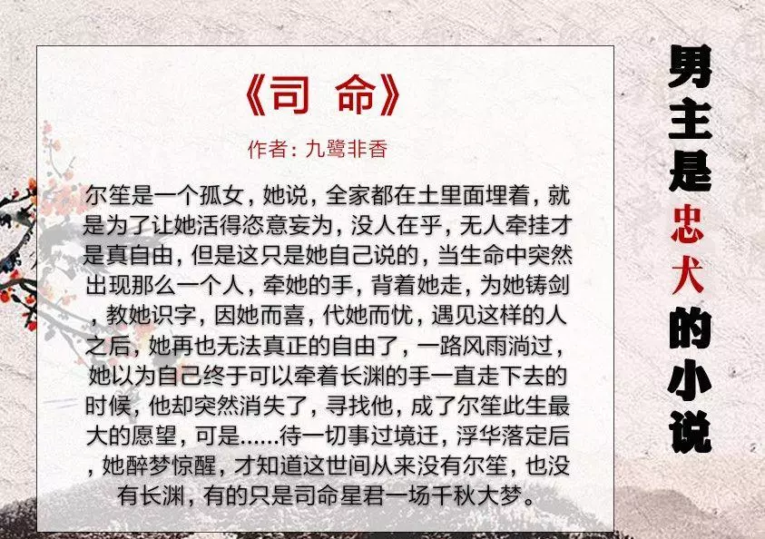 渣男忠犬系统好看吗(4)