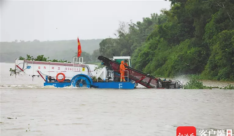 水浮莲打捞船需要办理什么证件(1)