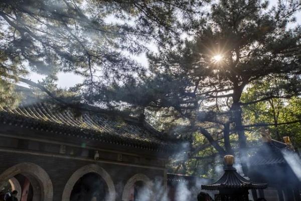 忌的意思是好还是不好.