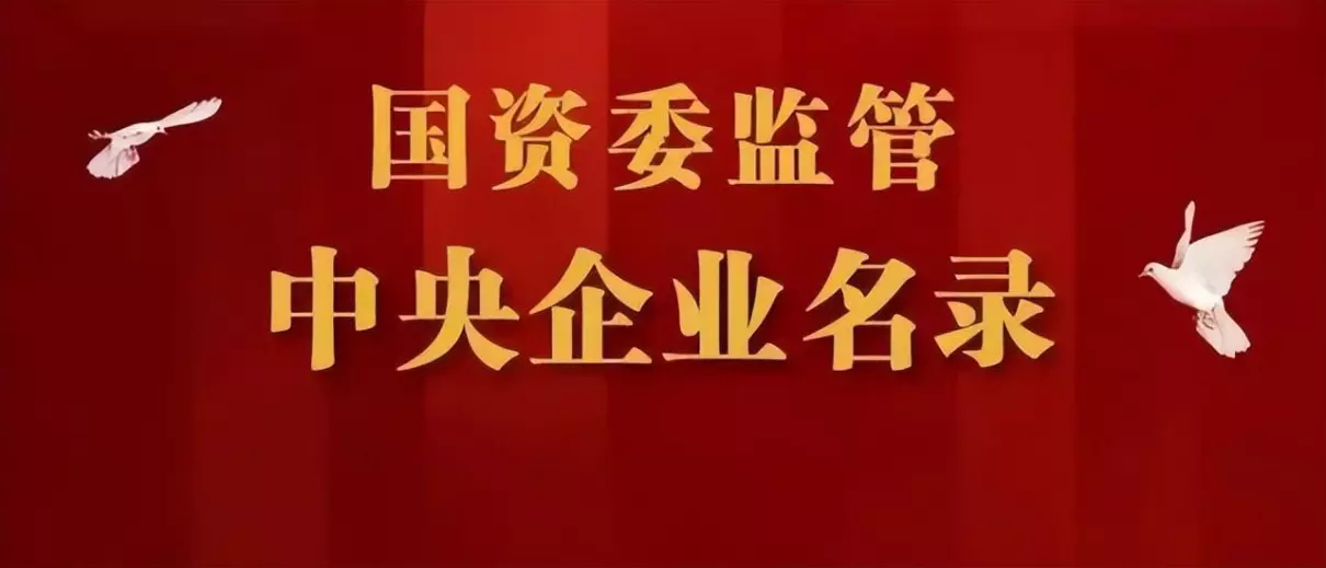美亚柏科是央企还是民企(2)