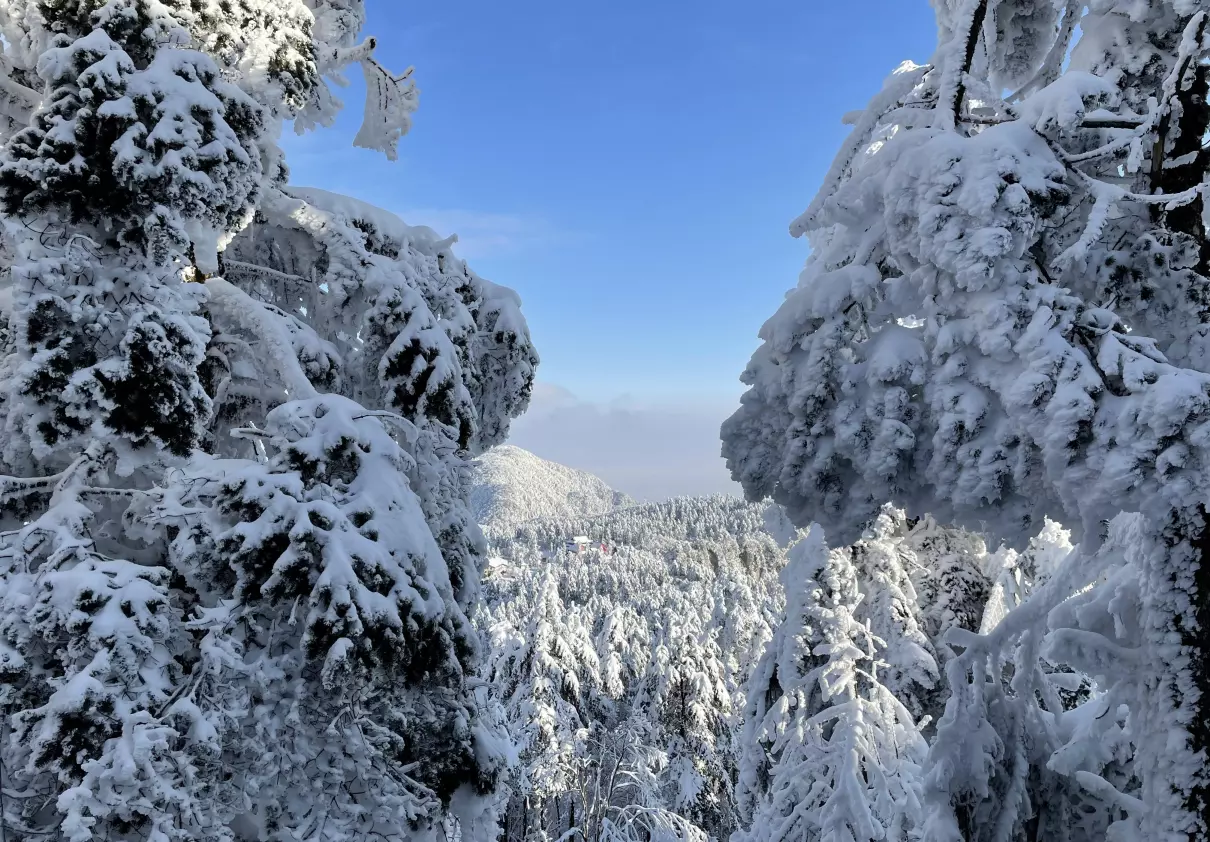 峨眉山门票160包含哪些景点(8)