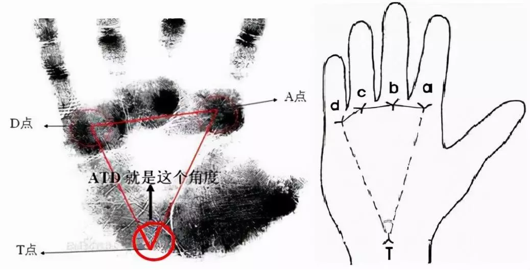 手掌纹真的可以看一个人的命运吗(3)