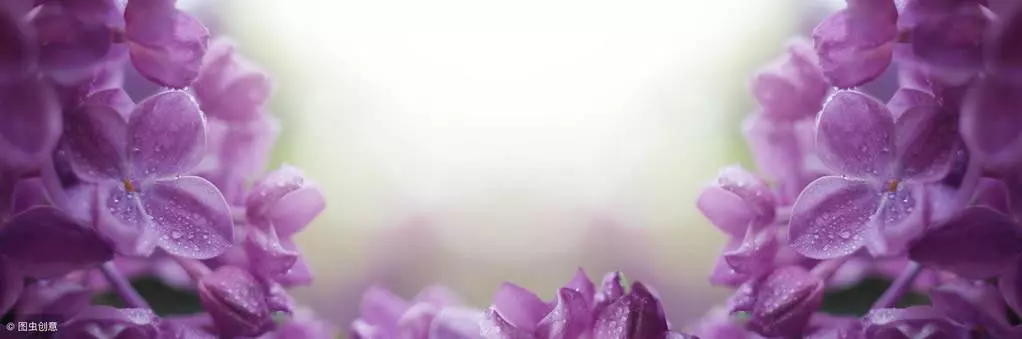 丁香花开的时候是什么季节(1)