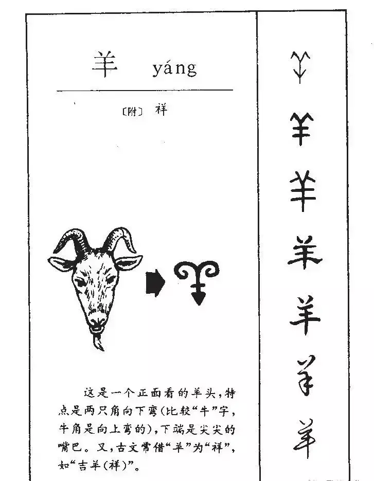 羊的五笔为什么是udj(14)
