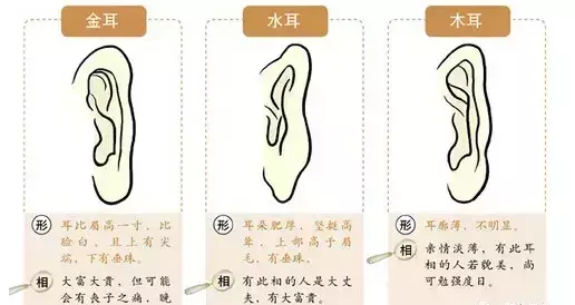 相面术中的耳朵相法(3)