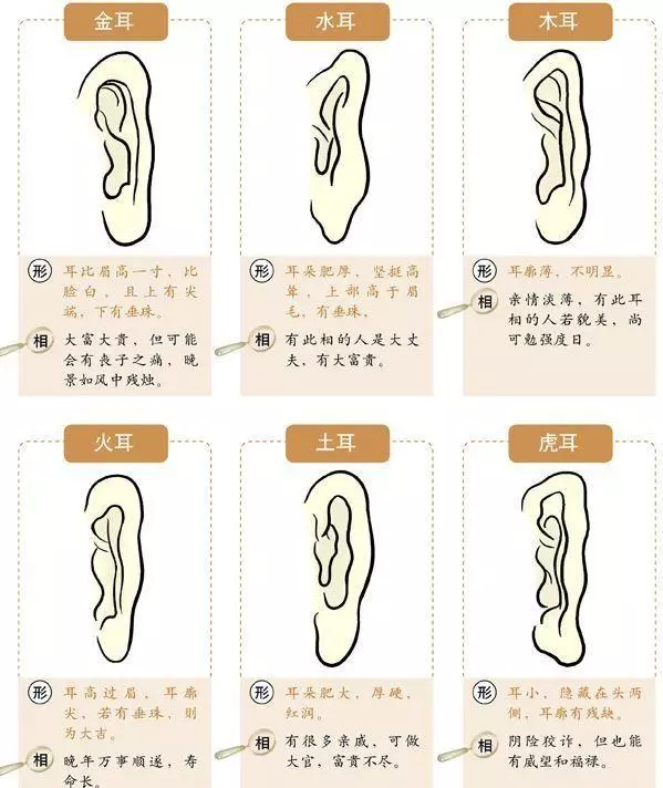 相面术中的耳朵相法(5)