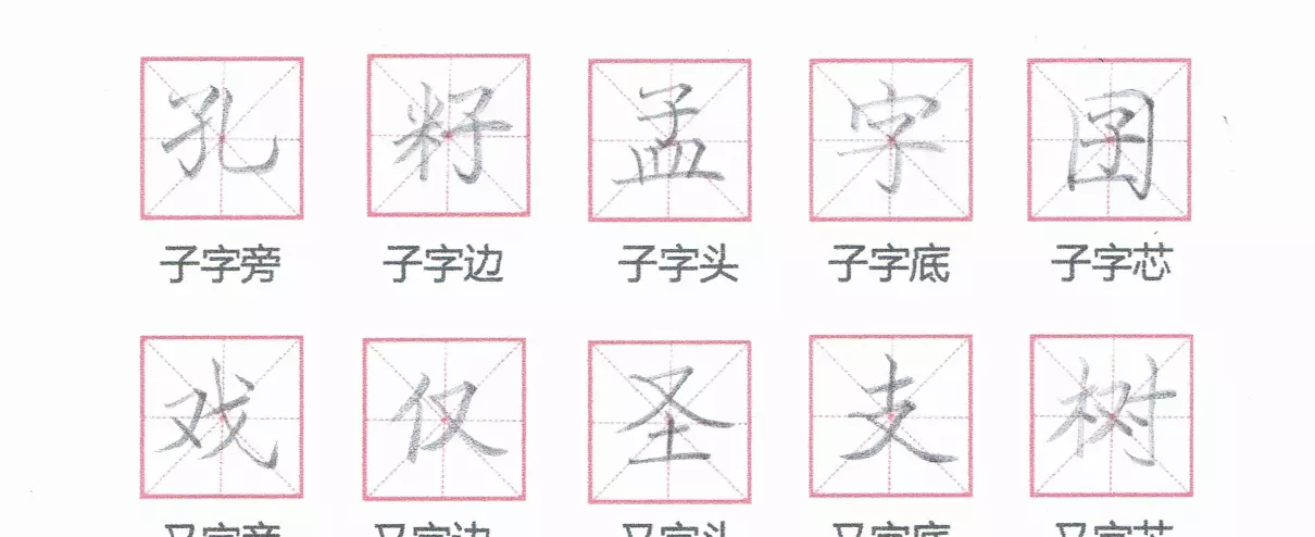 盖的部首是羊字头还是皿字底(3)