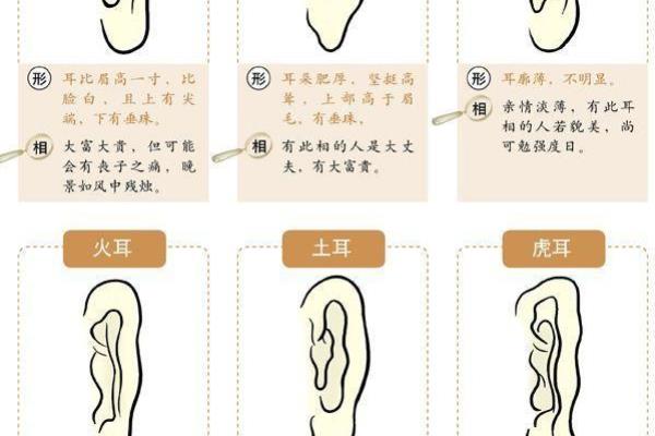 相面术中的耳朵相法.