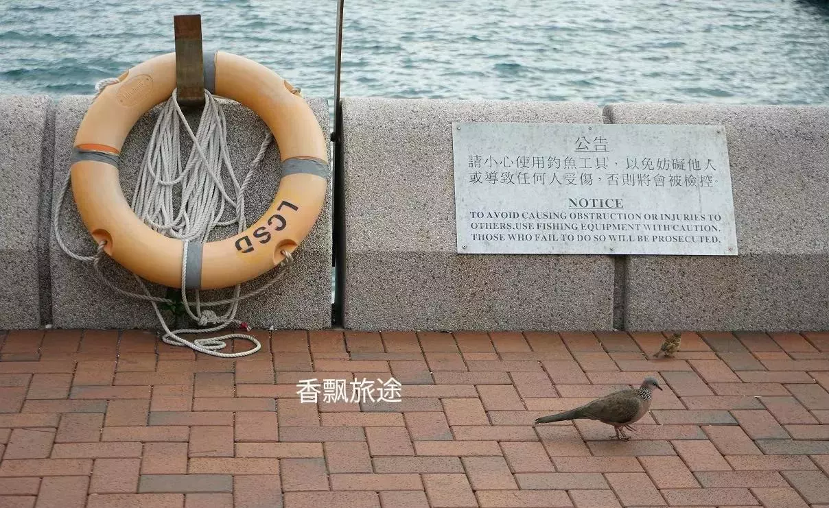 香港中环码头可以去哪些地方(30)