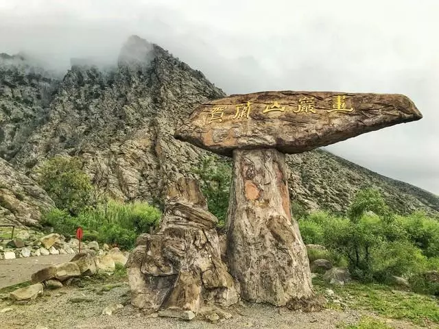 宁夏旅游网红景点大全排名(11)