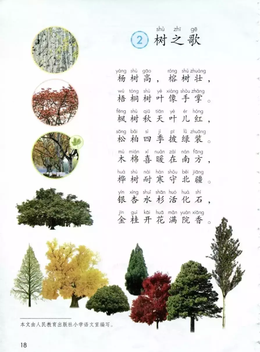 树之歌课文中适合生长在南方的树(1)