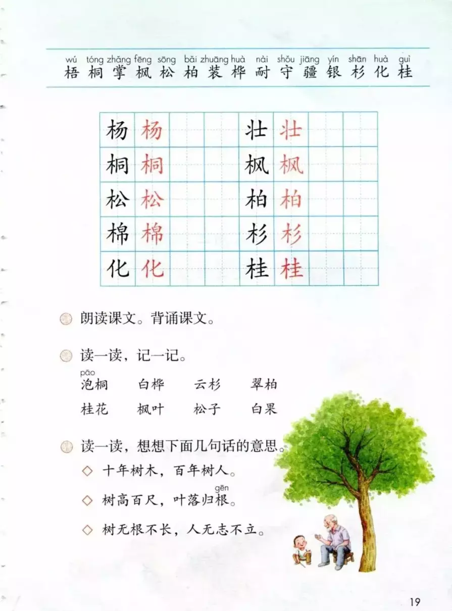 树之歌课文中适合生长在南方的树(2)