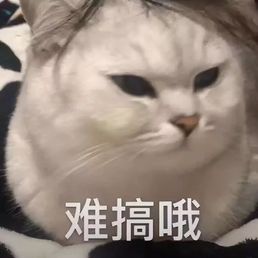 外卖在哪个平台点好(1)