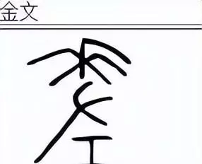 差能组什么词语有哪些多音字(1)
