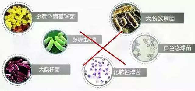 dna粗提取中为什么要用冷却的酒精(2)
