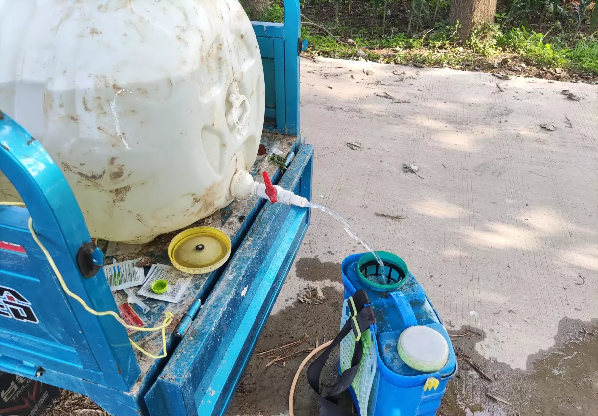 种红薯用什么农药防治地下害虫?(2)