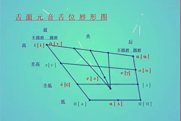 韵母发音部位和发音方法.