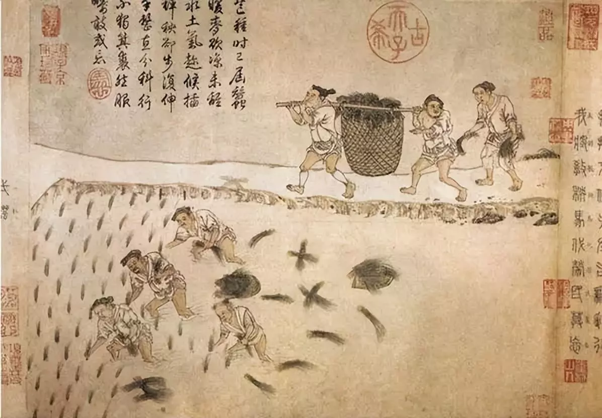 手把青秧插满田低头便见水中天什么意思(7)