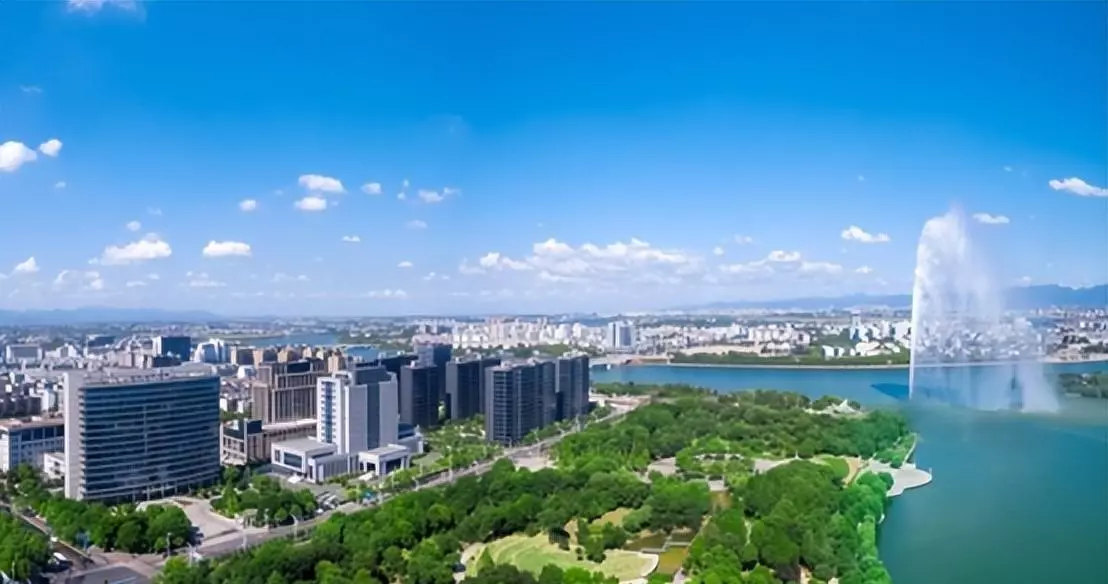 瑞安市政府驻什么街道(6)