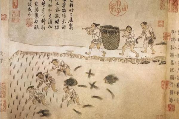 手把青秧插满田低头便见水中天什么意思.