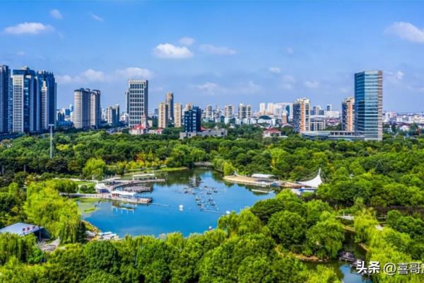 瑞安市政府驻什么街道.