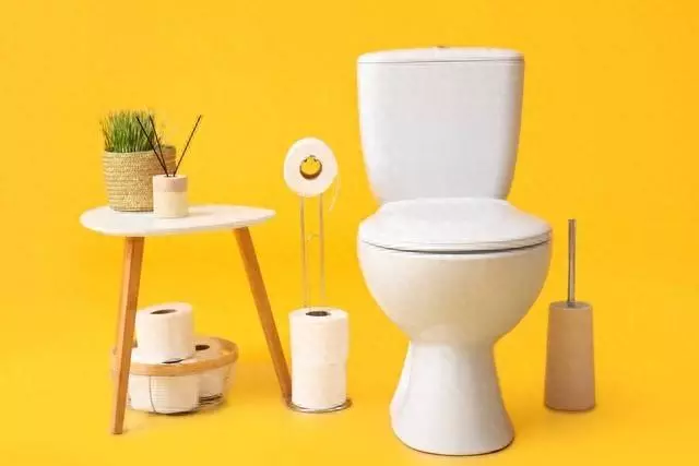 中国知名品牌马桶排行(1)