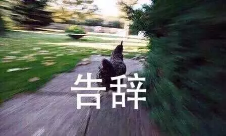 电脑摄像头怎么安装与手机远程监控(12)