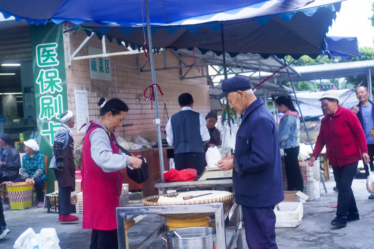 重庆金佛山一日游跟团价格(30)