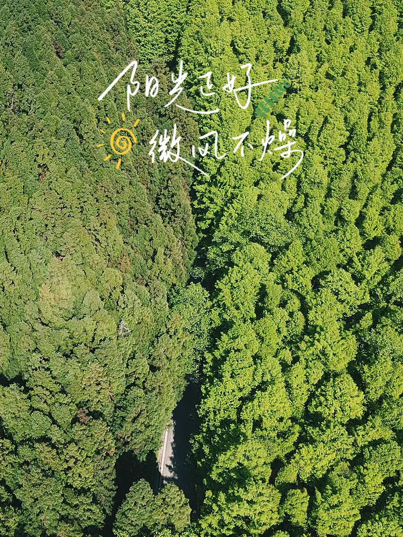重庆金佛山一日游跟团价格(39)