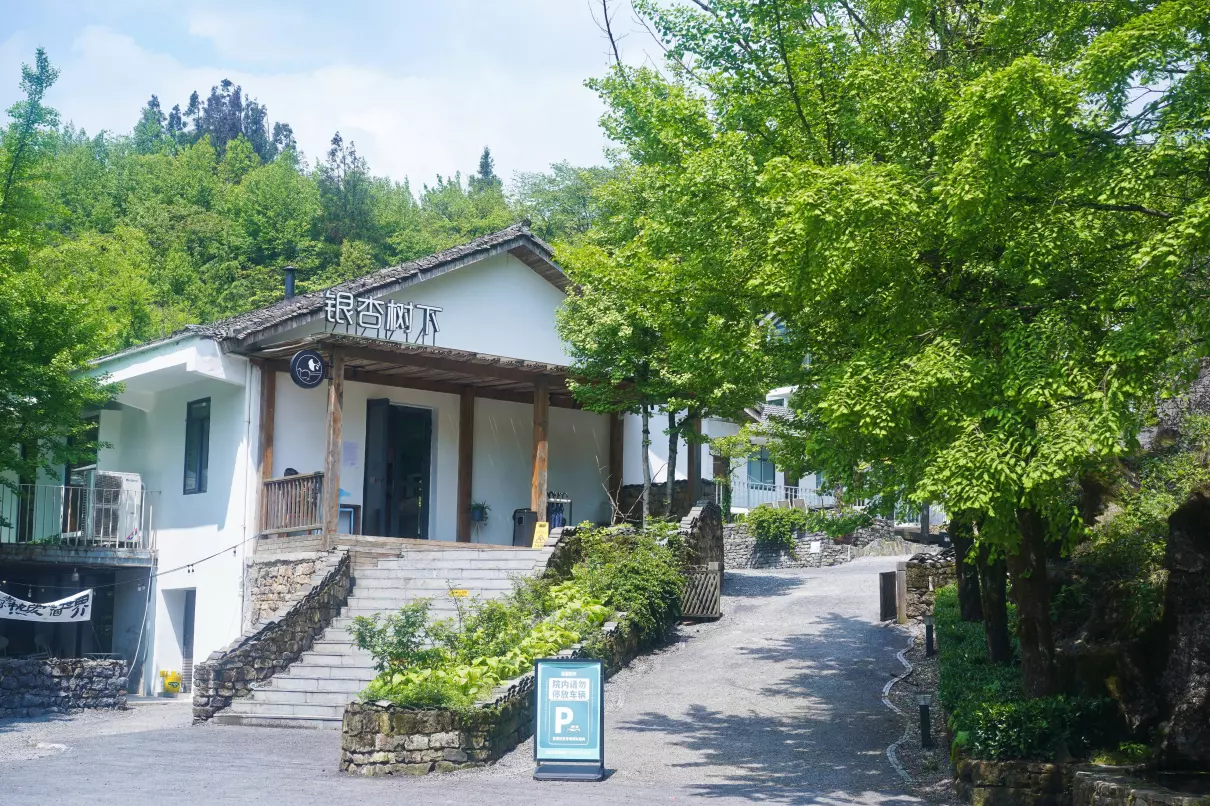 重庆金佛山一日游跟团价格(41)