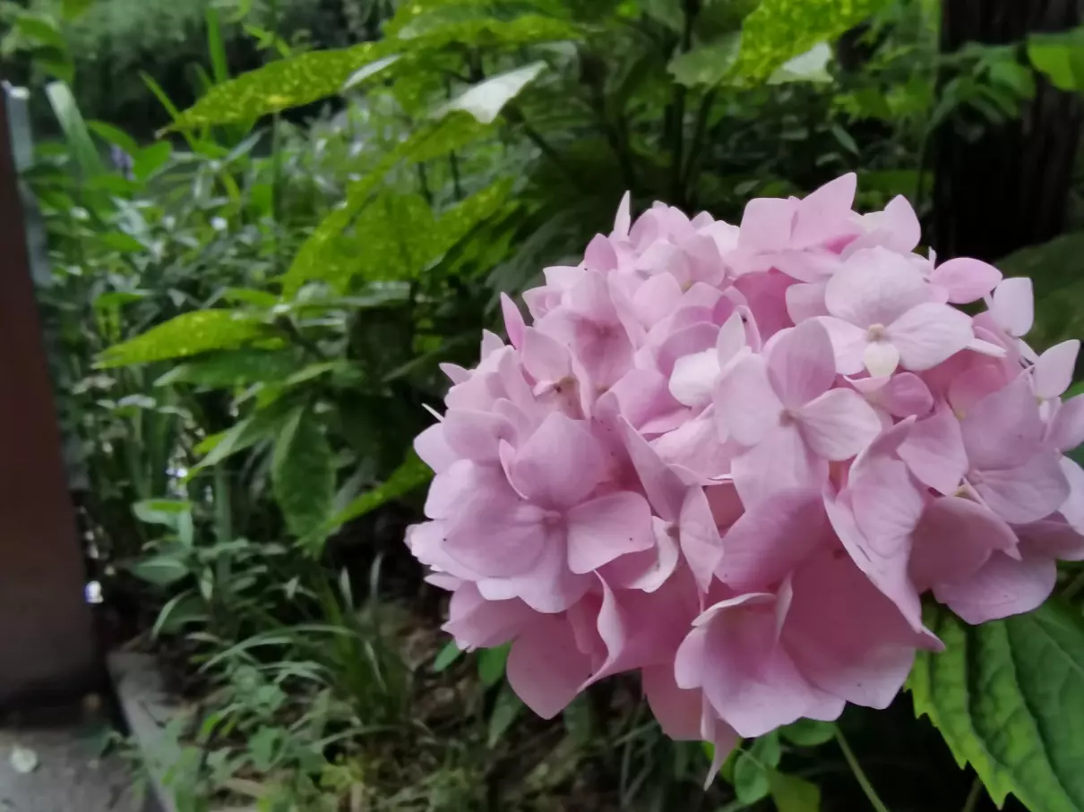 本科双非研究生985可以定向选调吗(5)