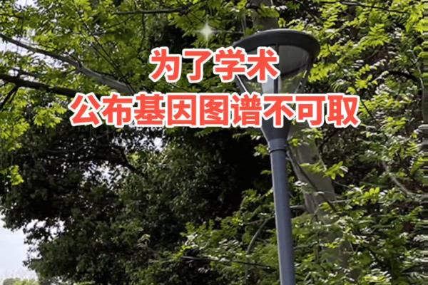 茶余饭后杂志在哪可以买到.